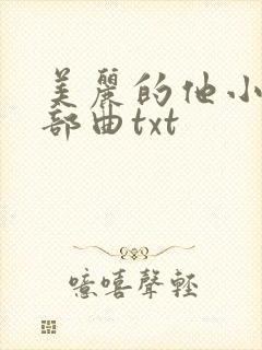 美丽的他小说三部曲txt封面