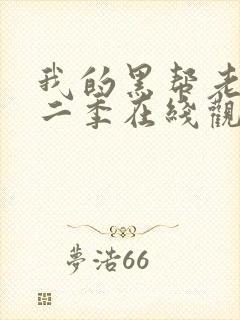 我的黑帮老大第二季在线观看