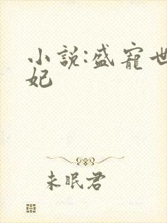 小说:盛宠世子妃