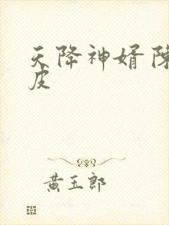 天降神婿 陈黄皮封面