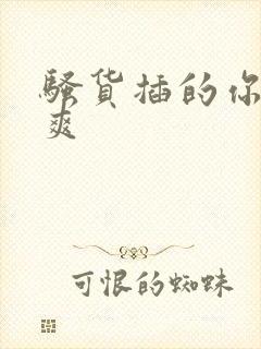 骚货插的你爽不爽封面