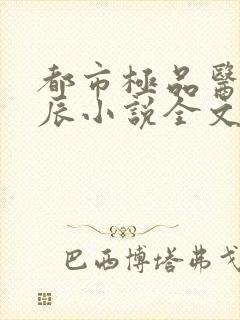 都市极品医神叶辰小说全文阅读