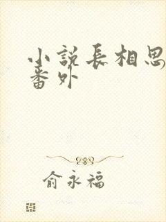 小说长相思相柳番外