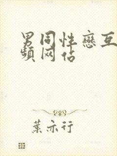 男同性恋互操视频网站