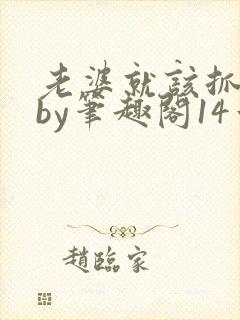 老婆就该抓起来by笔趣阁14章免费阅读封面