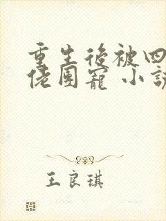 重生后被四个大佬团宠 小说