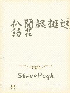 扒开腿挺进湿润的花