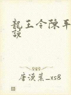 龙王令陈平 小说