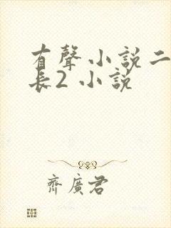 有声小说二号首长2 小说
