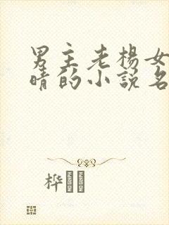 男主老杨女主柳晴的小说名字