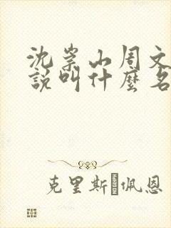 沈崇山周文茵小说叫什么名字