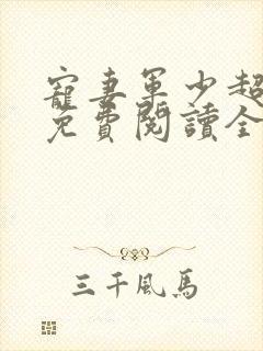 宠妻军少超凶猛免费阅读全文封面