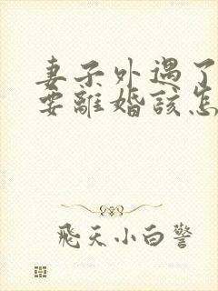 妻子外遇了老公要离婚该怎么挽回