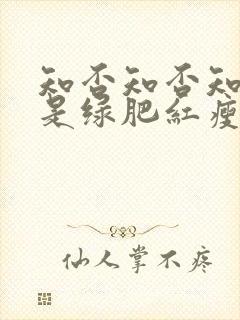 知否知否知否应是绿肥红瘦康姨母