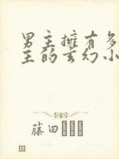 男主拥有多个女主的玄幻小说