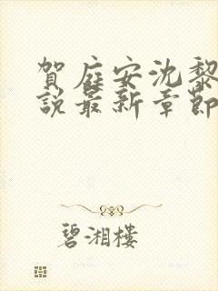 贺庭安沈黎初小说最新章节更新内容