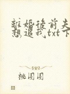 离婚后前夫总是想追我txt下载