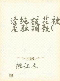 清纯校花被民工羞耻调教(封面