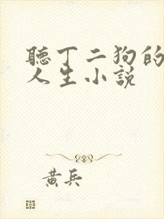 听丁二狗的肆意人生小说