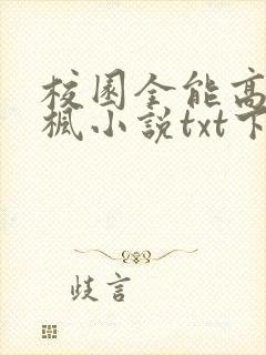 校园全能高手季枫小说txt下载全集封面