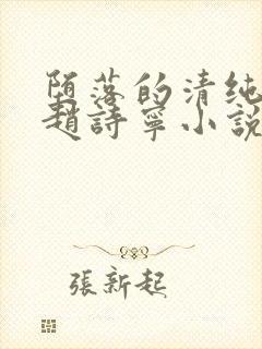 堕落的清纯校花赵诗宁小说免费阅读封面