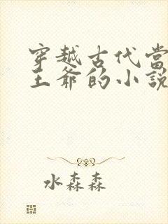 穿越古代当闲散王爷的小说