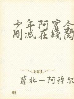 少年阿宾全文无删减在线阅读