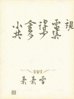 小舍得电视剧一共多少集