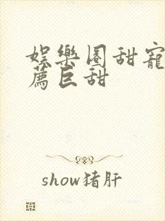 娱乐圈甜宠文推荐巨甜