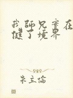 我师兄实在太稳健了境界封面