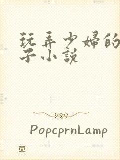 玩弄少妇的大奶子小说封面