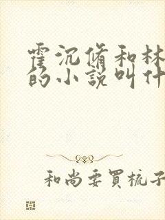 霍沉修和林歆染的小说叫什么名字