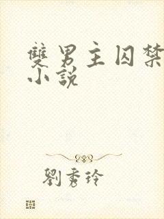 双男主囚禁调教小说封面