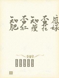 知否知否应是绿肥红瘦花嫁下封面