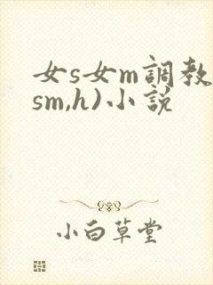 女s女m调教(sm,h)小说封面