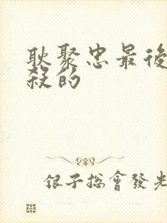 耿聚忠最后被谁杀的封面