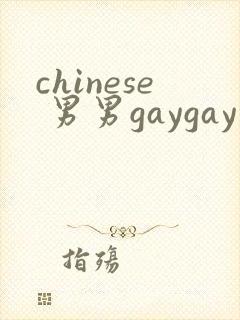 chinese 男男gaygay 网站