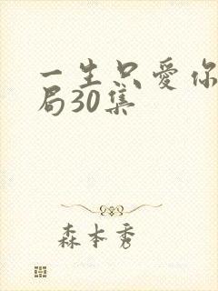 一生只爱你大结局30集