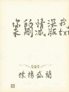 你的情深我不配未删减版txt下载封面