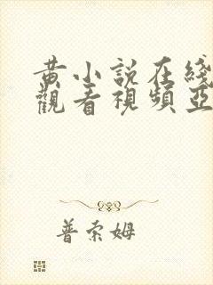 黄小说在线免费观看视频亚洲欧美