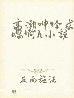 高潮呻吟求饶h嗯啊h小说