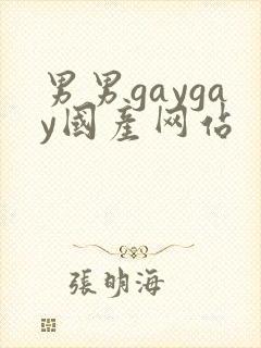 男男gaygay国产网站封面