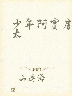 少年阿宾房东太太