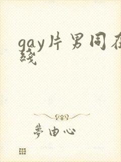 gay片男同在线