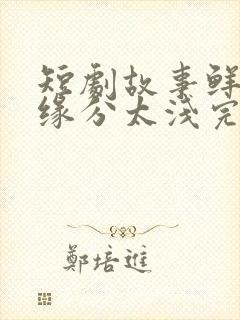 短剧故事鲜艳而缘分太浅完整版在线观看封面