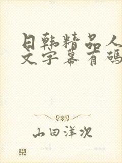 日韩精品人妻中文字幕有码电影