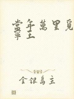 当年万里觅封侯宁王封面