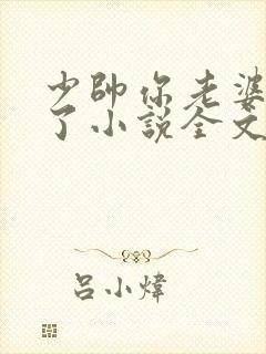 少帅你老婆又跑了小说全文阅读