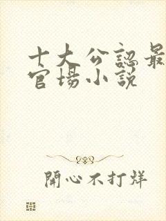 十大公认最好看官场小说