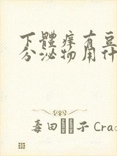 下体痒有豆腐渣分泌物用什么药